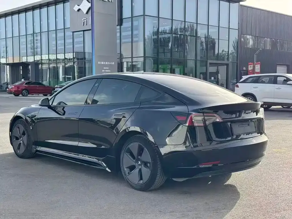 Tesla Model 3 2021 из CN, фото 3