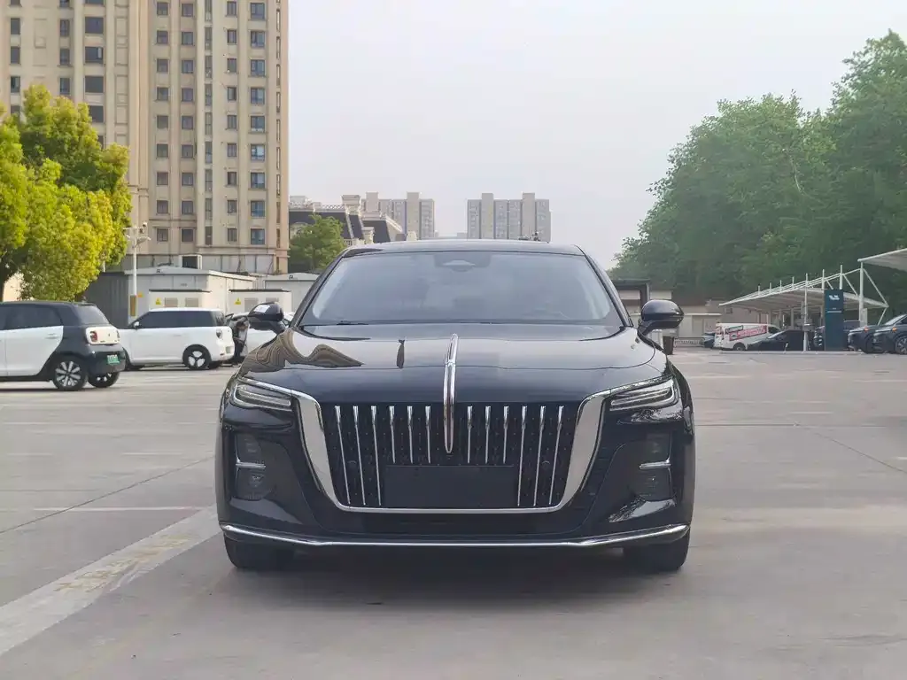 Hongqi H5 2024 из CN, фото 2