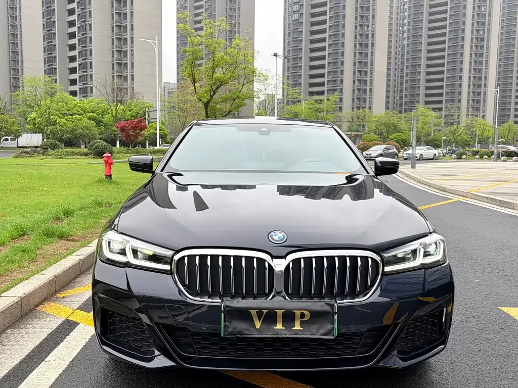 BMW 5 Series New Energy — фото 8