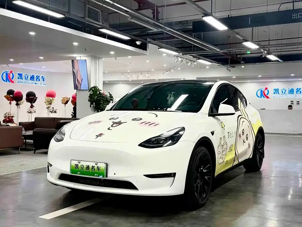 Tesla Model Y 2022 из CN, фото 1