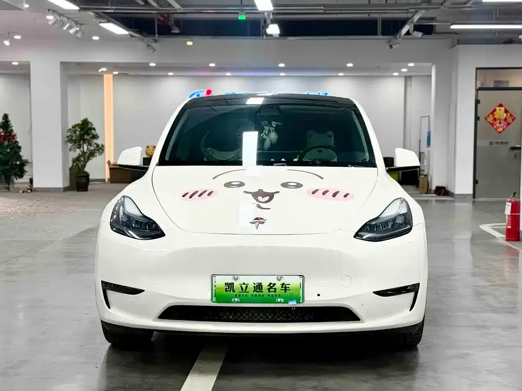 Tesla Model Y 2022 из CN, фото 5