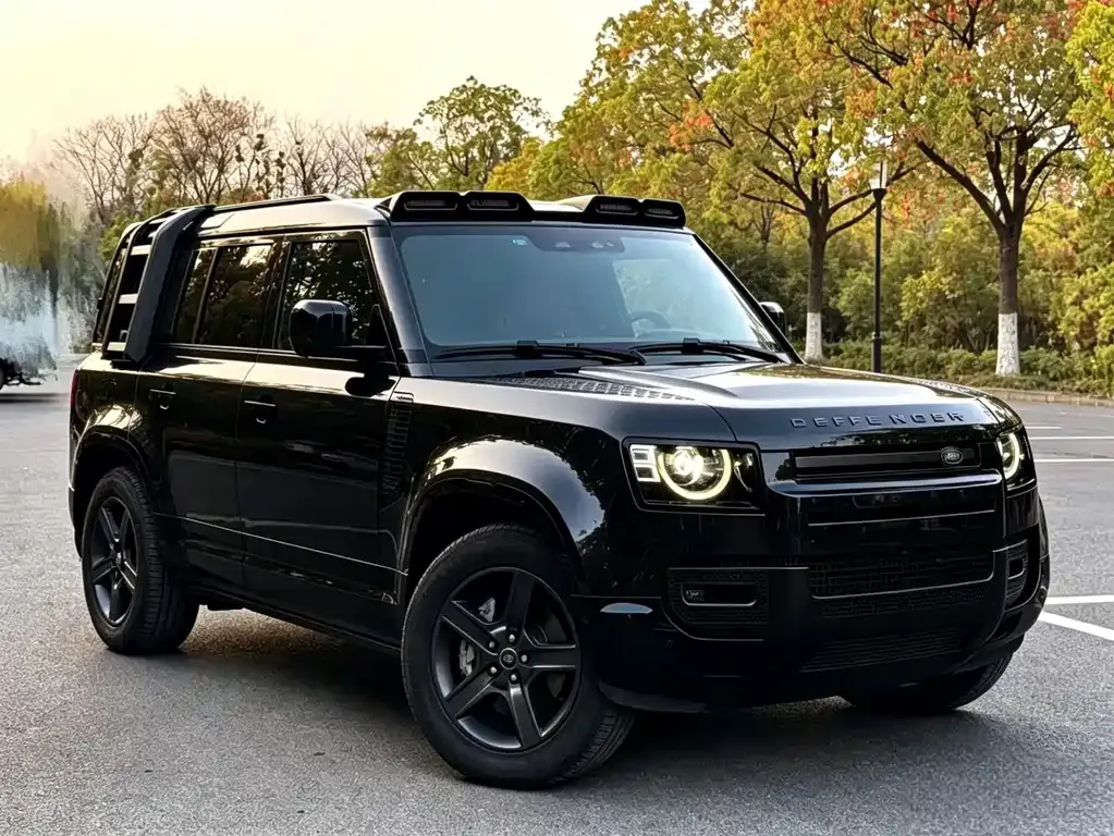Land Rover Defender 2023 из CN, фото 4