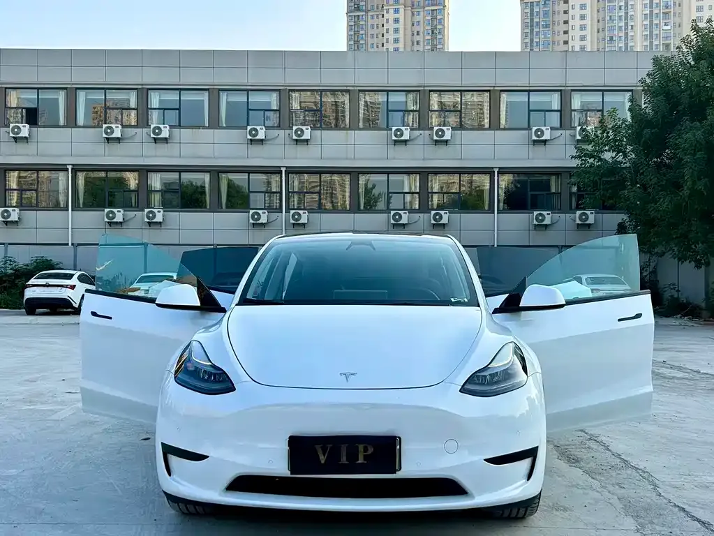 Tesla Model Y 2024 из CN, фото 5