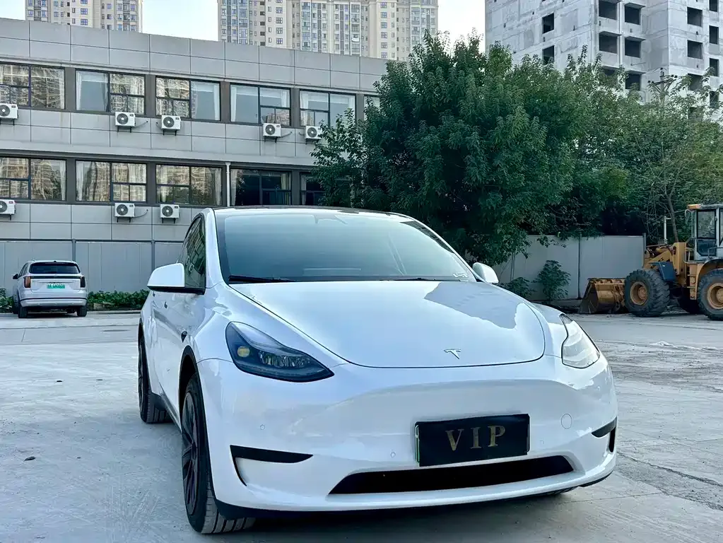 Tesla Model Y 2024 из CN, фото 6