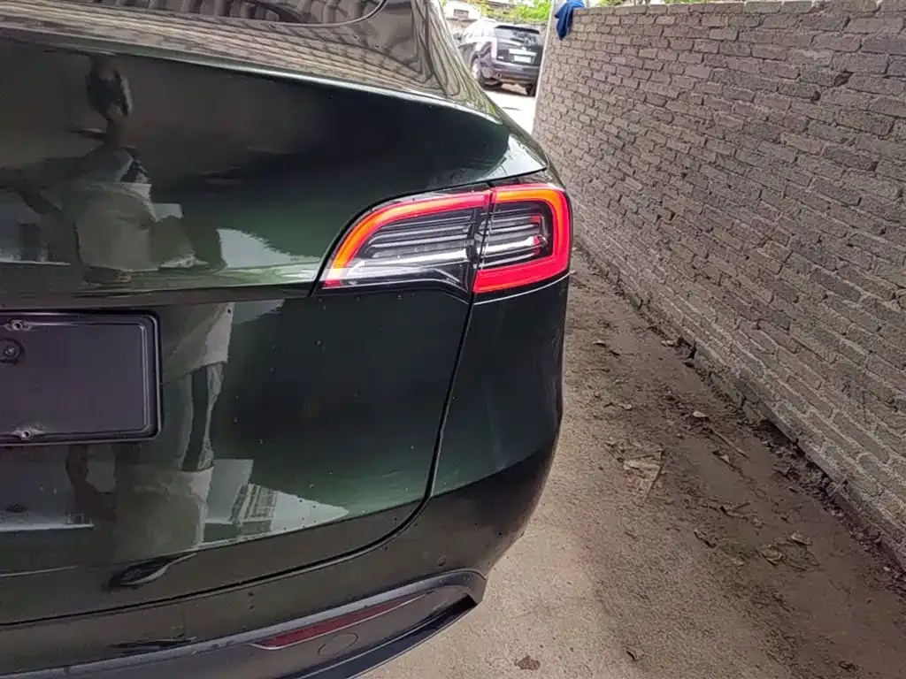 Tesla Model Y — фото 10