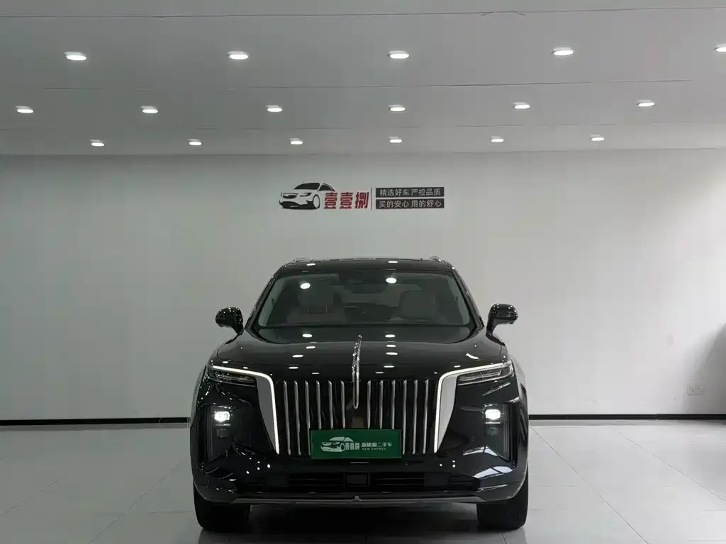 Hongqi E-HS9 — фото 9