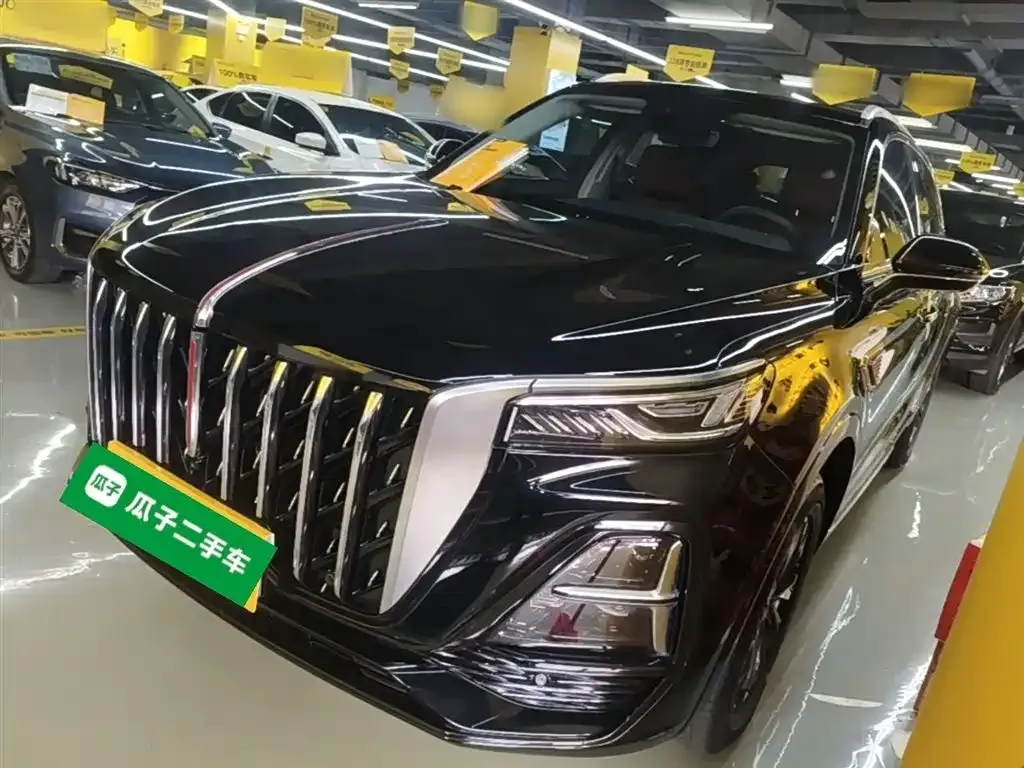 Hongqi HS5 2023 из CN, фото 6