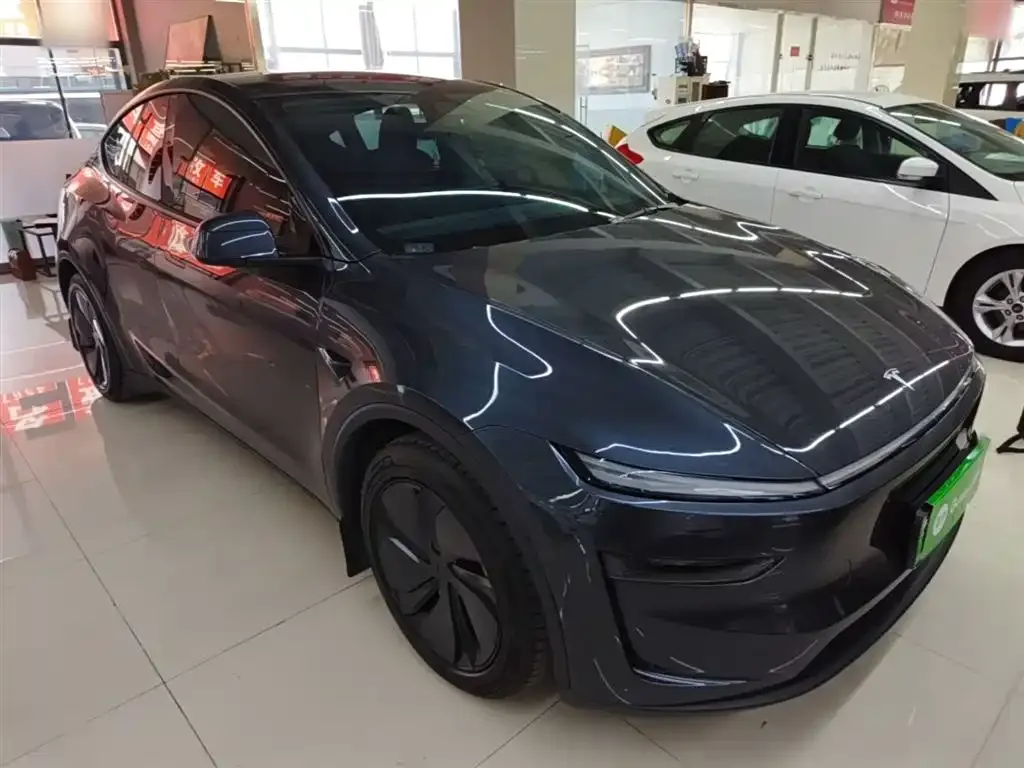 Tesla Model Y — фото 6
