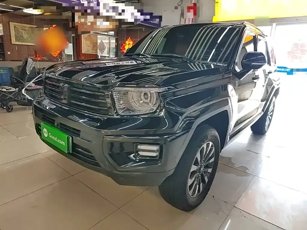Tank 700 New Energy 2024 из CN, фото 6