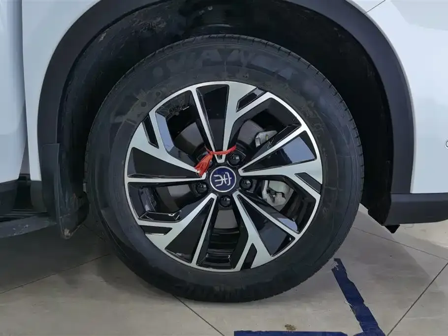 BYD Pro New Energy — фото 7