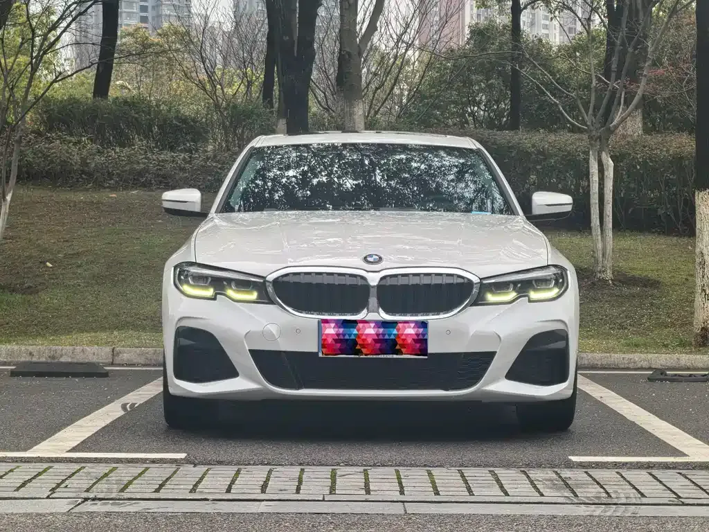 BMW 3 Series 2021 из CN, фото 3