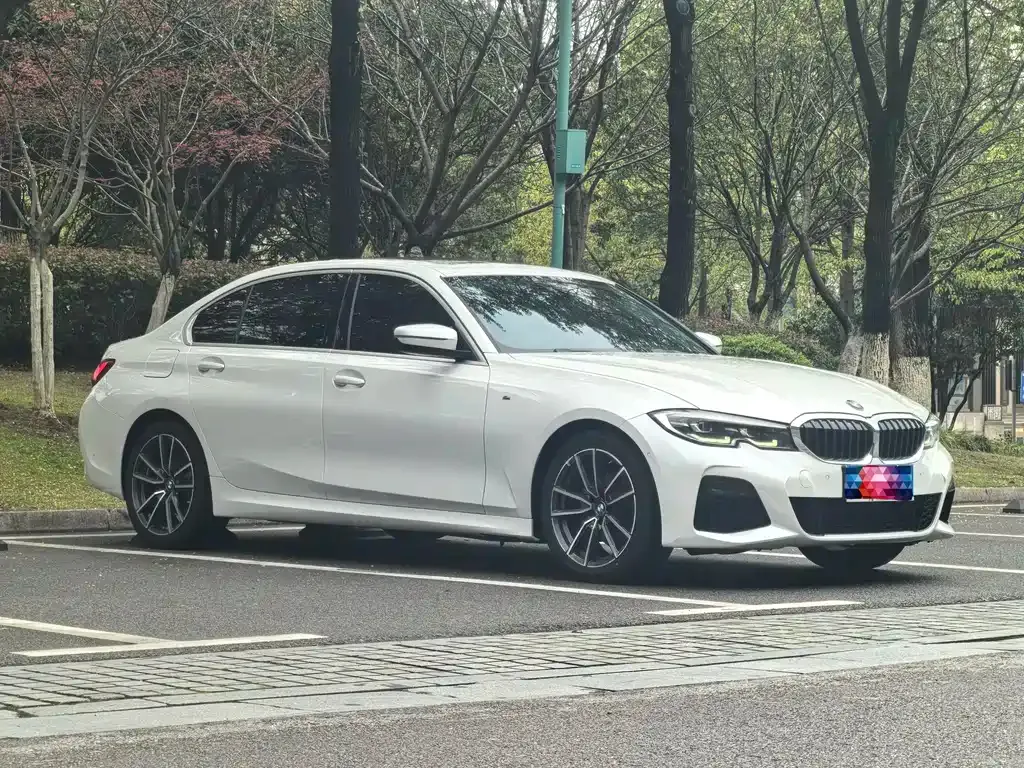 BMW 3 Series 2021 из CN, фото 8