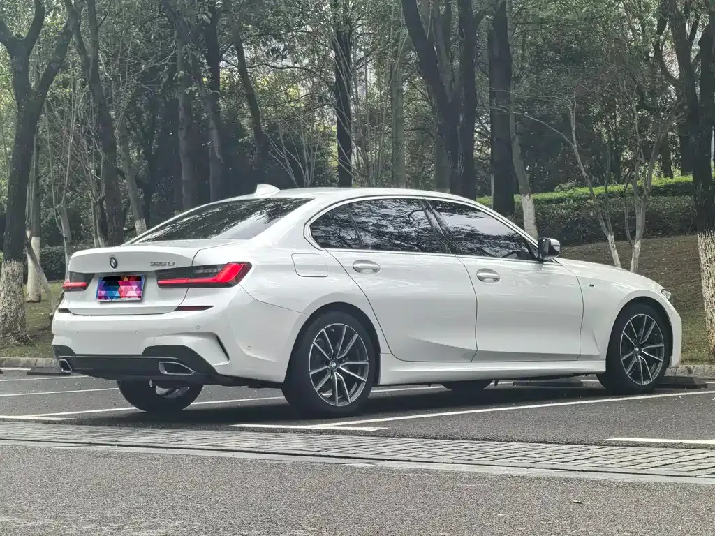 BMW 3 Series 2021 из CN, фото 7