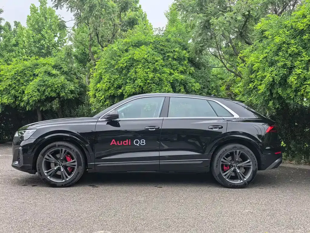 Audi Q8 — фото 10