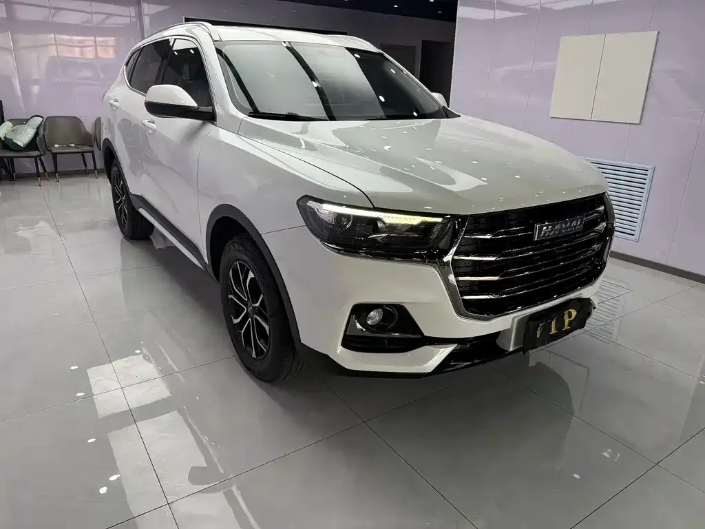 Haval H6 — фото 8