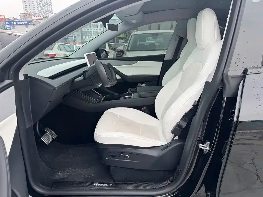 Tesla Model Y — фото 9