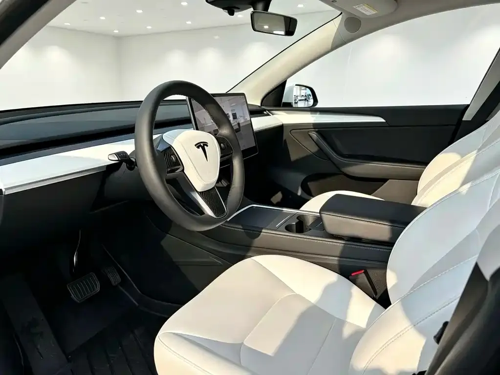 Tesla Model Y — фото 10
