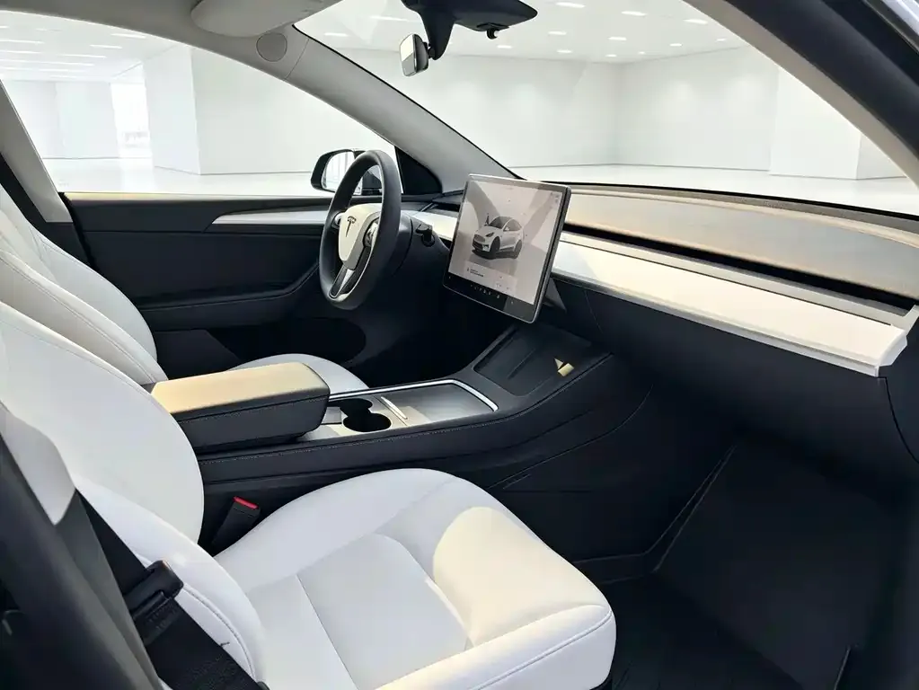Tesla Model Y — фото 9