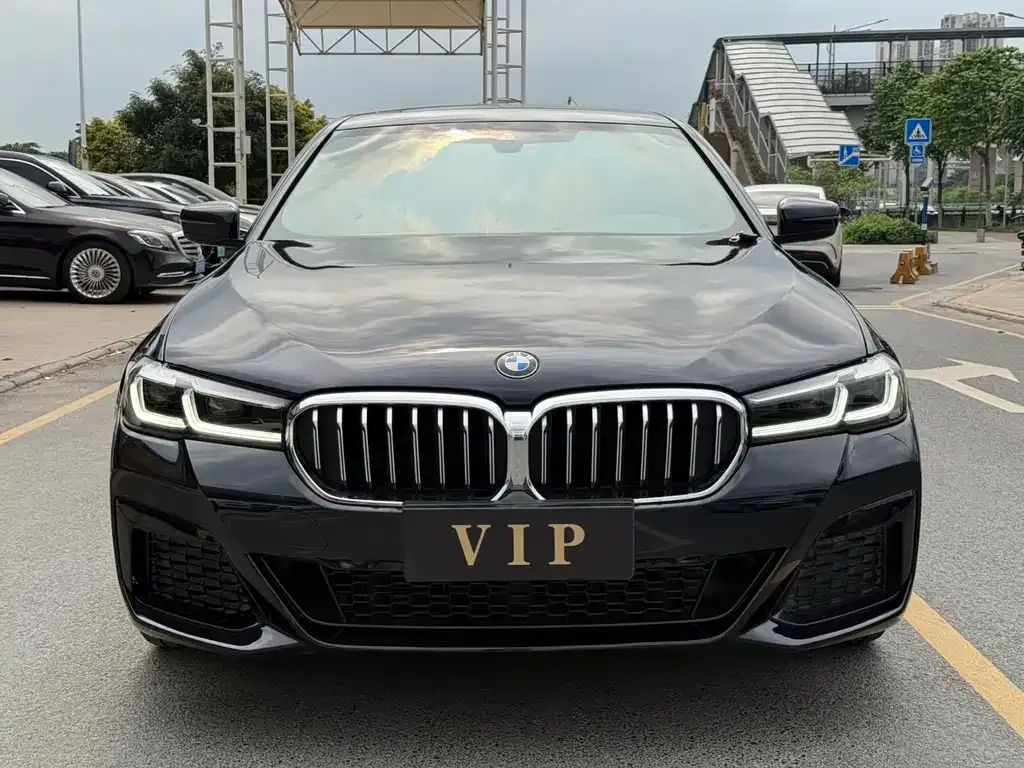 BMW 5 Series 2023 из CN, фото 2