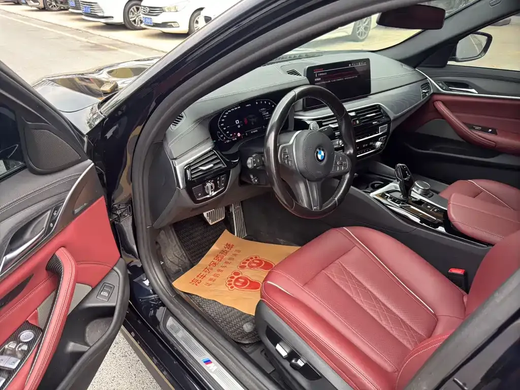 BMW 5 Series 2023 из CN, фото 8