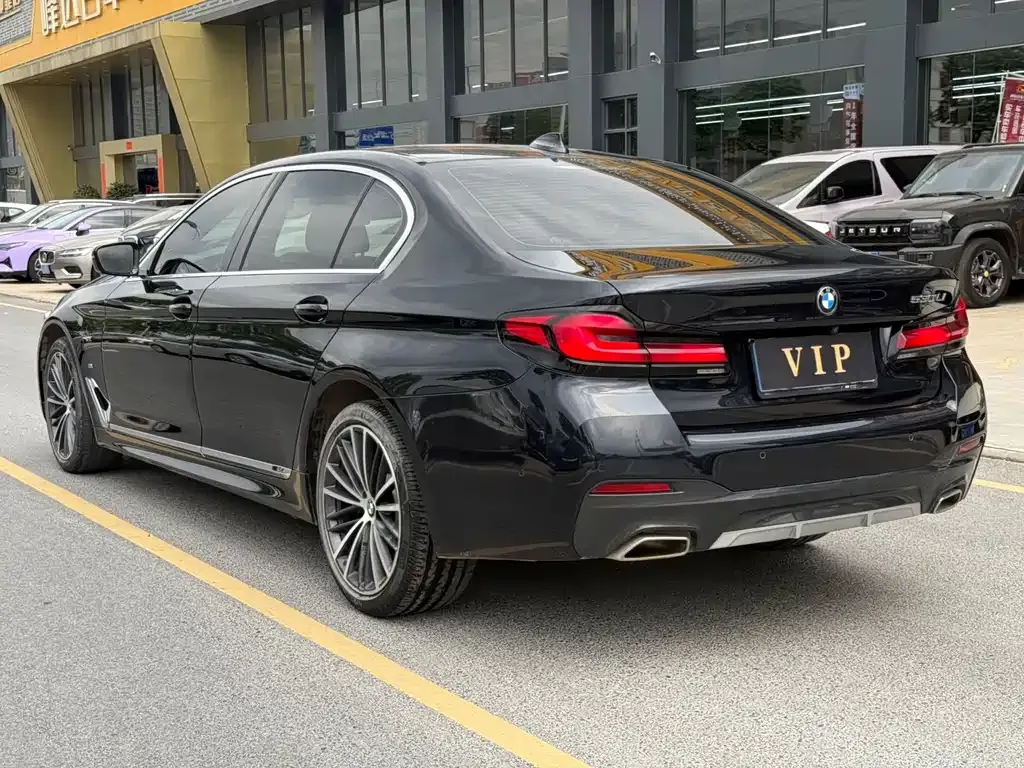 BMW 5 Series 2023 из CN, фото 4