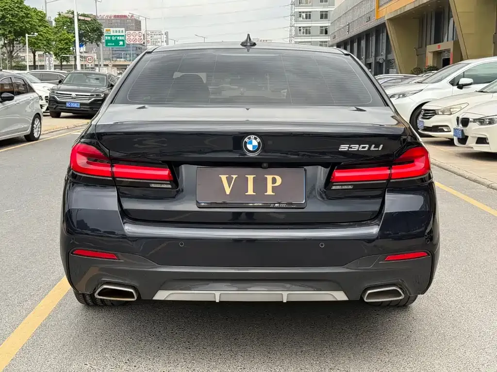 BMW 5 Series 2023 из CN, фото 6