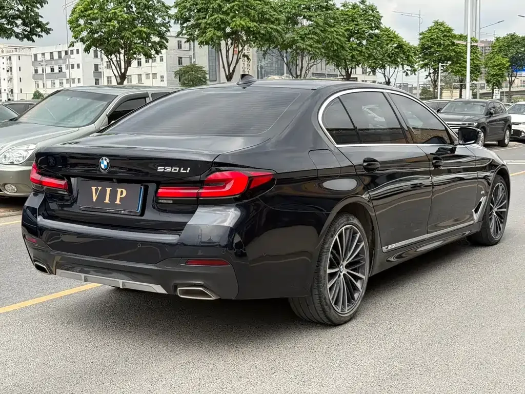 BMW 5 Series 2023 из CN, фото 9