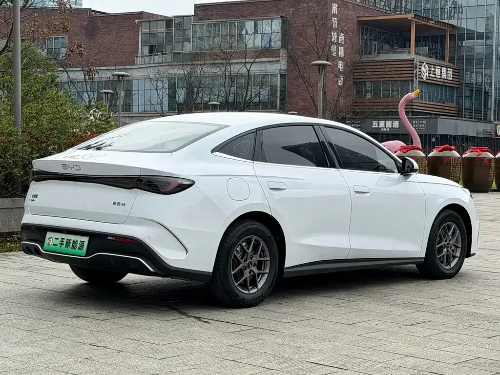 BYD Seal 06 2024 из CN, фото 10