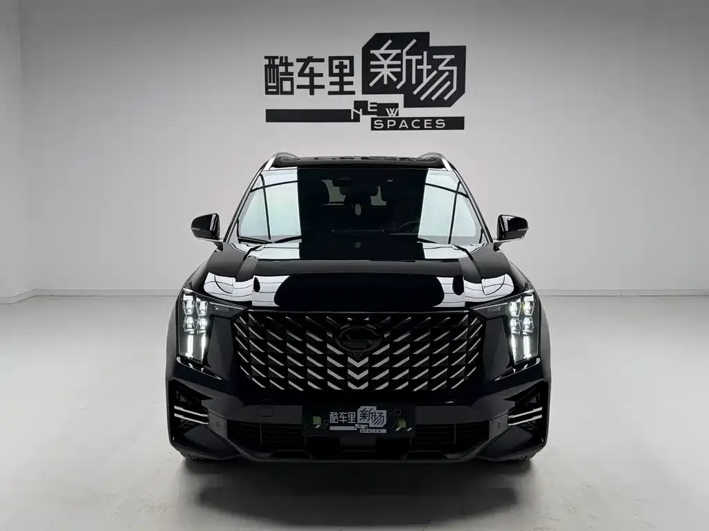 GAC Motor Trumpchi GS8 2024 из CN, фото 8