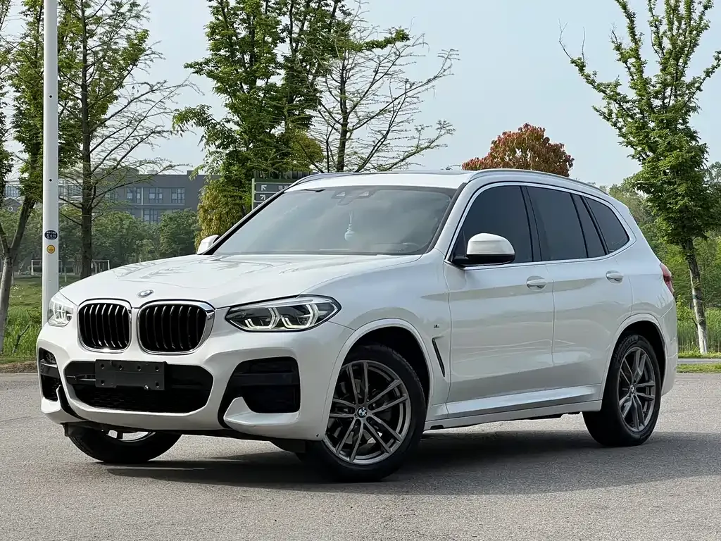 BMW X3 2021 из CN, фото 1