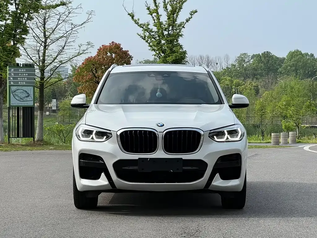 BMW X3 2021 из CN, фото 7