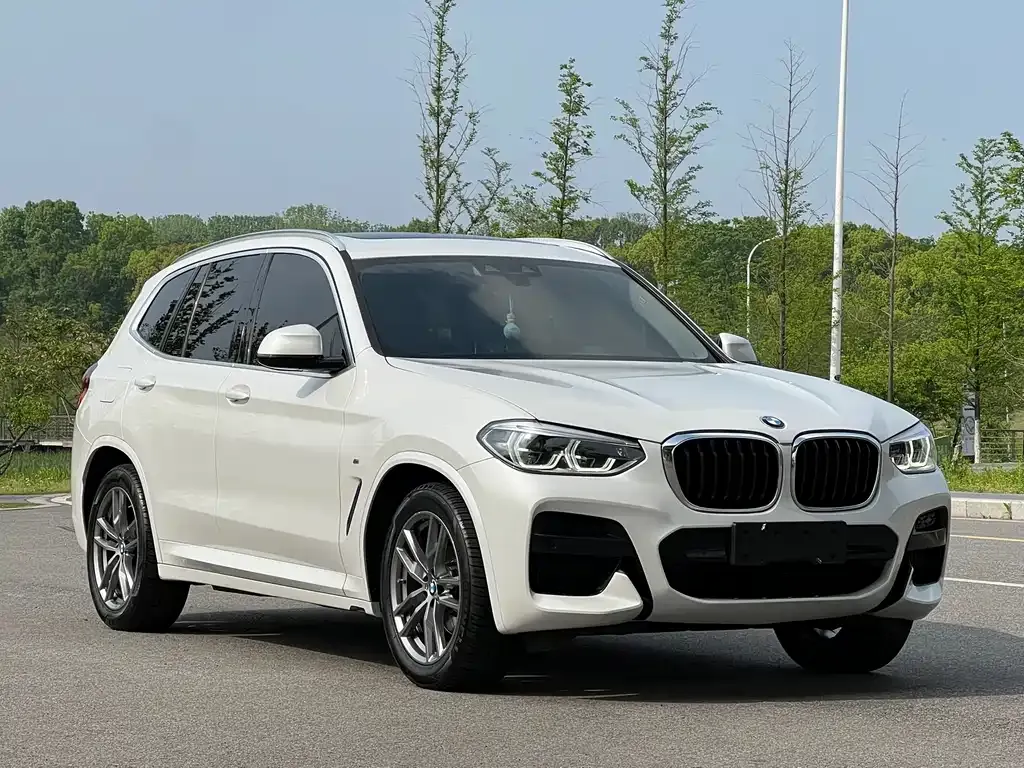 BMW X3 2021 из CN, фото 10