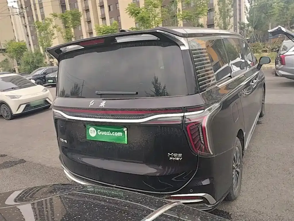 Hongqi HQ9 PHEV 2024 из CN, фото 9