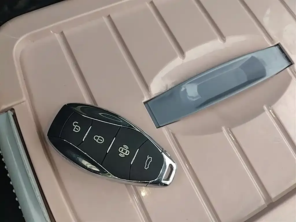 Hongqi HQ9 PHEV 2024 из CN, фото 2