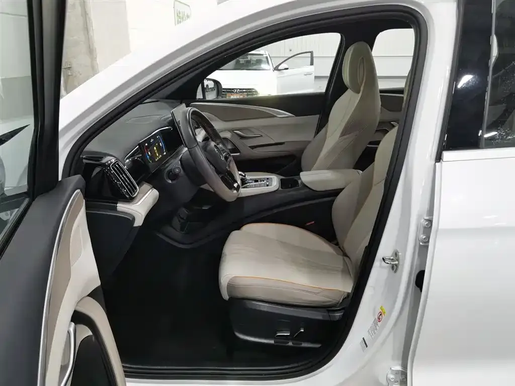 BYD Pro New Energy 2024 из CN, фото 5