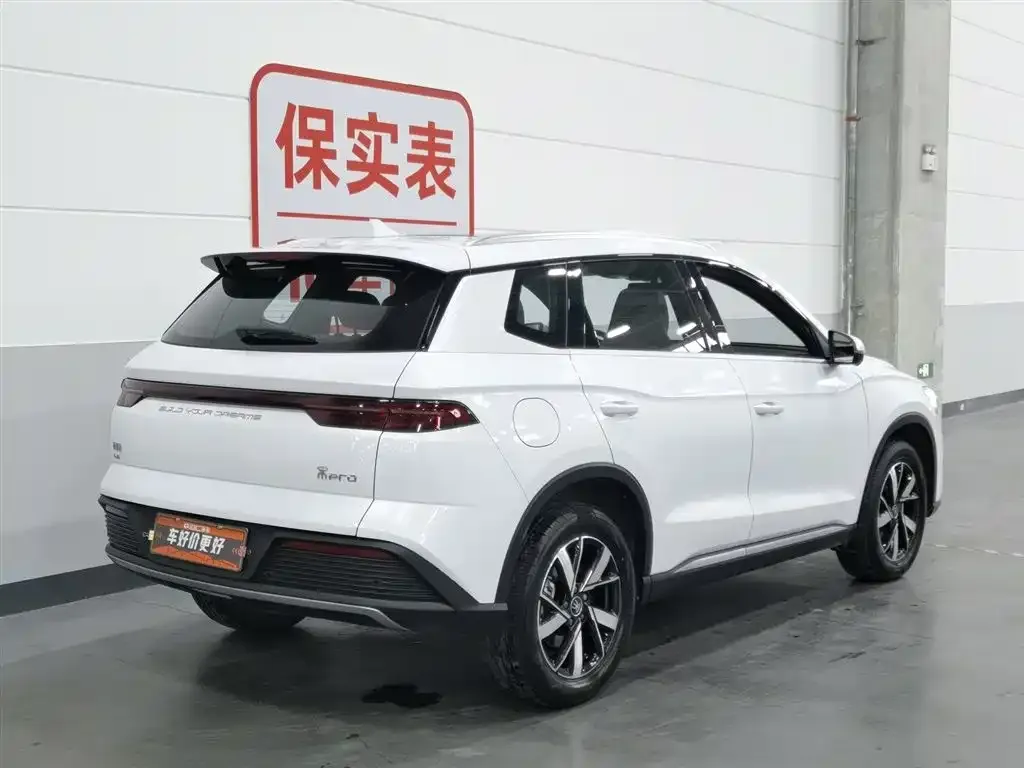 BYD Pro New Energy 2024 из CN, фото 10