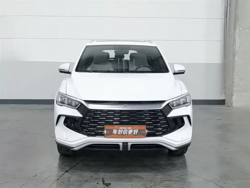 BYD Pro New Energy 2024 из CN, фото 2