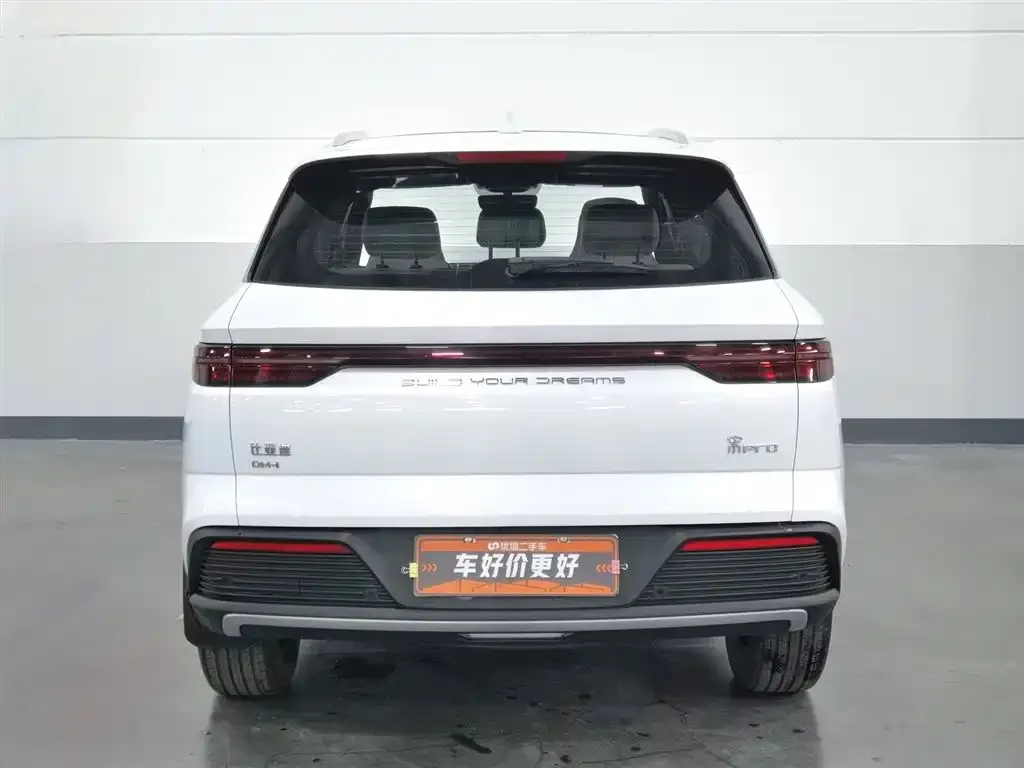 BYD Pro New Energy 2024 из CN, фото 3