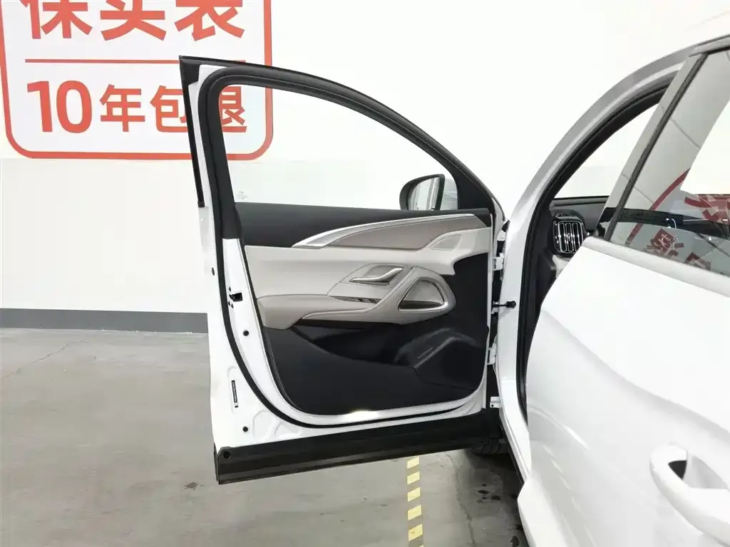 BYD Pro New Energy 2024 из CN, фото 8