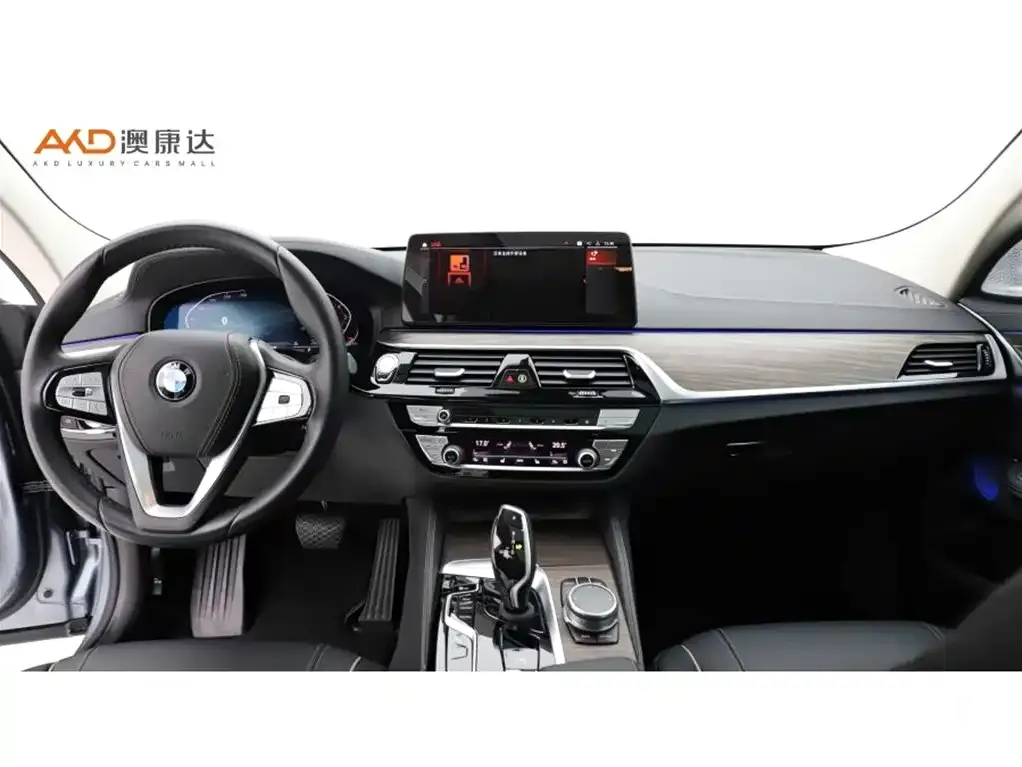 BMW 6 Series GT 2022 из CN, фото 10
