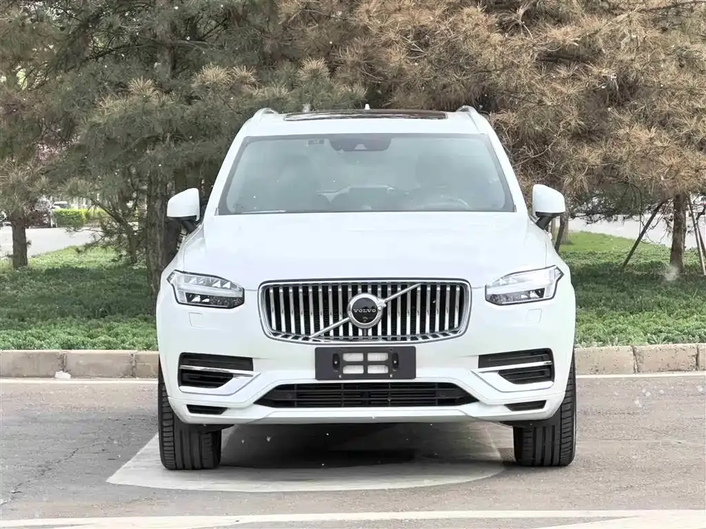 Volvo XC90 PHEV 2021 из CN, фото 5