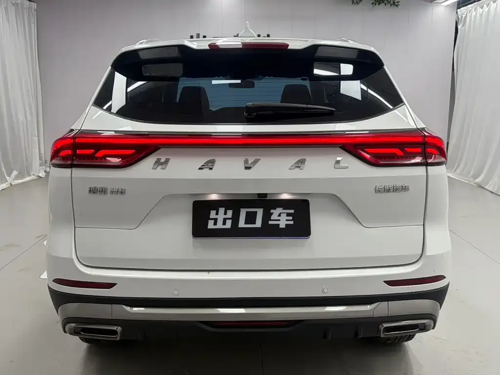 Haval H6 2023 из CN, фото 4