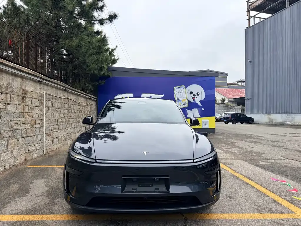 Tesla Model Y — фото 9