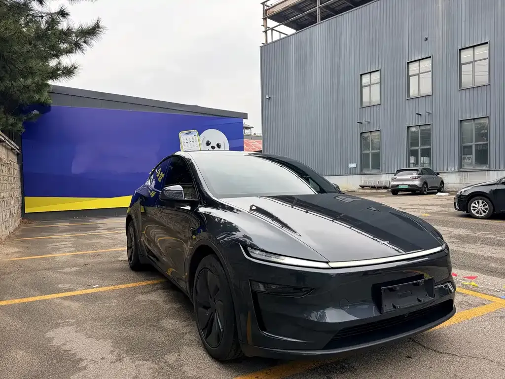 Tesla Model Y — фото 4