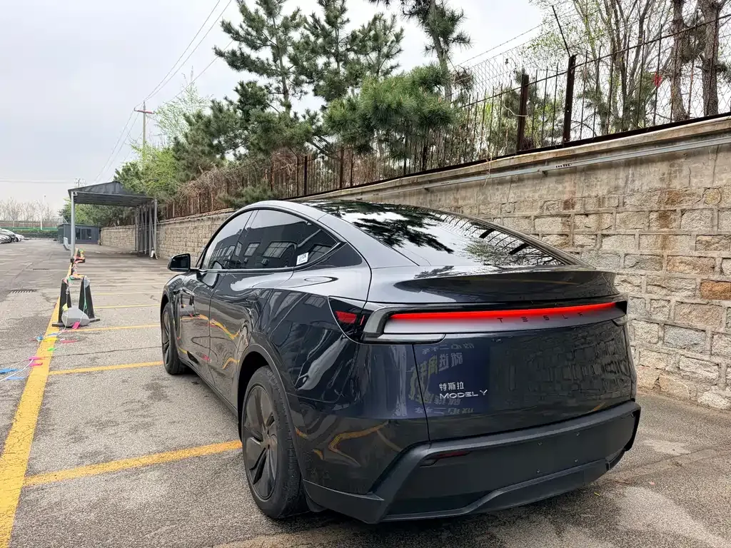 Tesla Model Y — фото 3