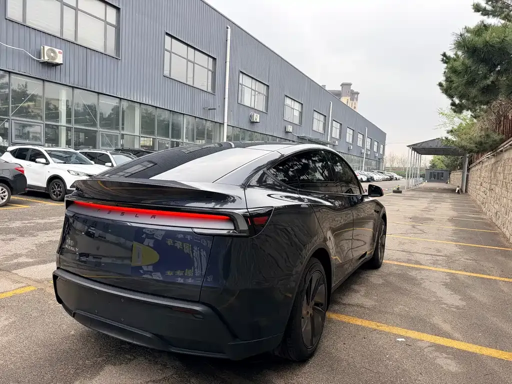 Tesla Model Y — фото 8