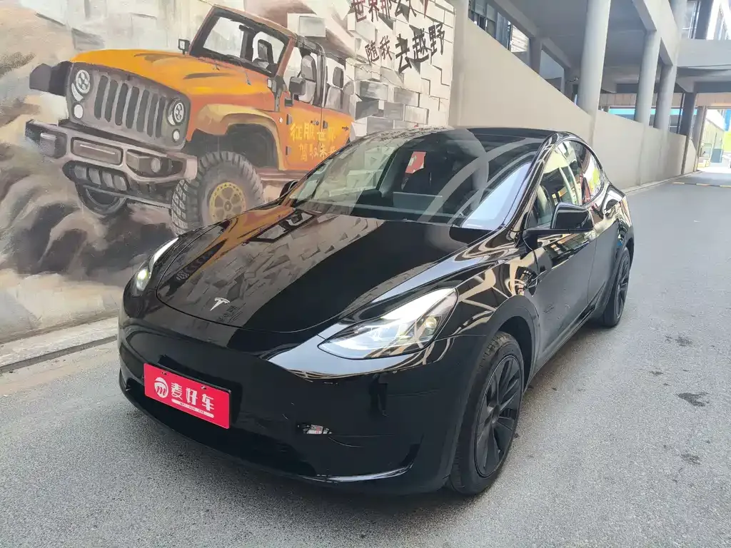Tesla Model Y — фото 1