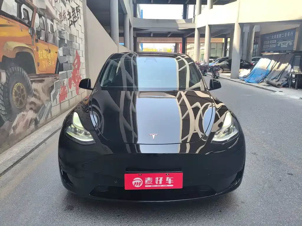 Tesla Model Y — фото 3