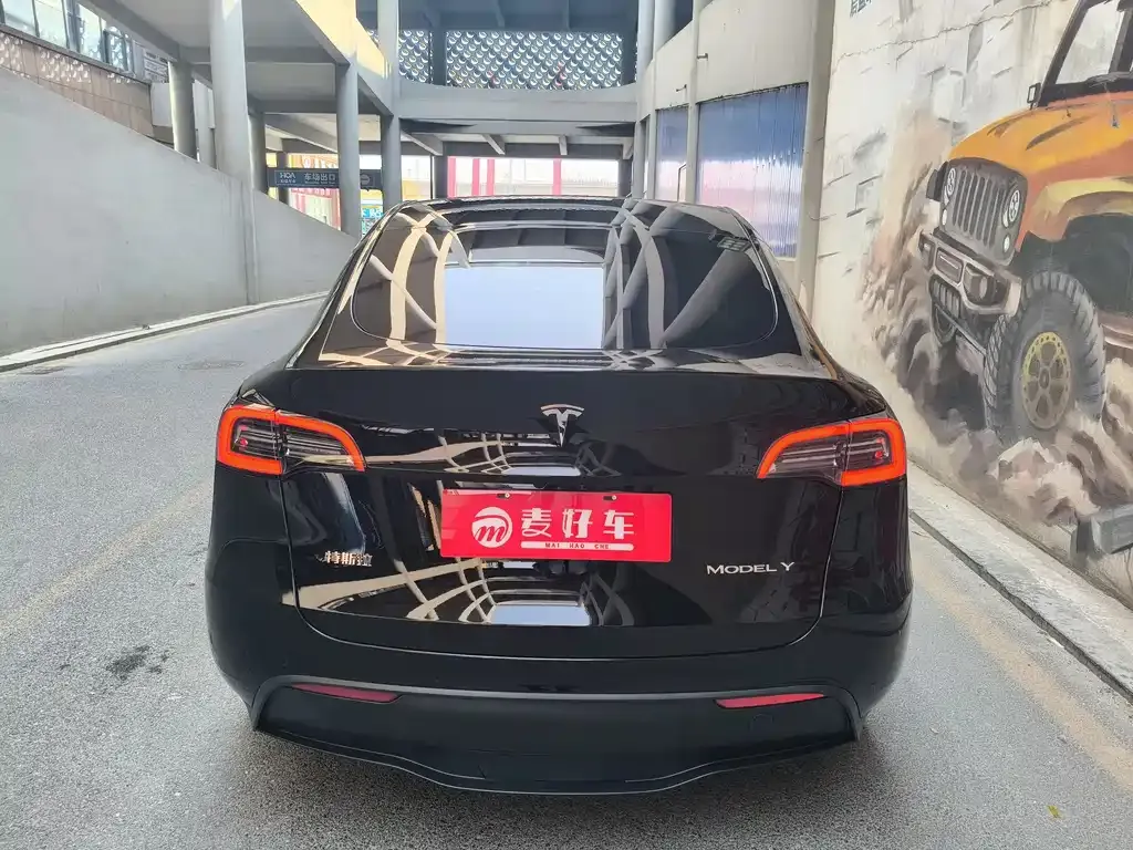 Tesla Model Y — фото 9