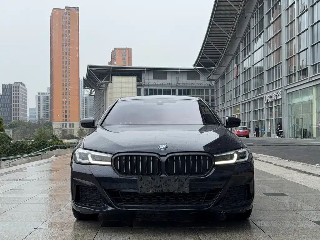 BMW 5 Series (Import) 2021 из CN, фото 4